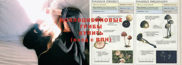 Альфа ПВП Лабытнанги