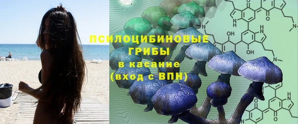 соль курить ск Лагань