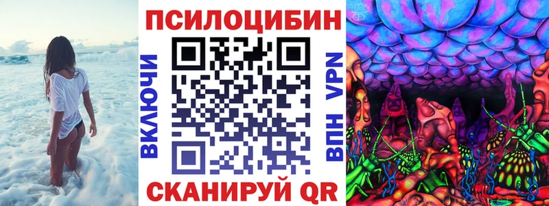 Купить  Красково  Галлюциногенные грибы MAGIC MUSHROOMS 